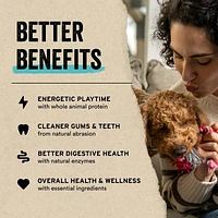 Vital Essentials - Dog Treat - Freeze Dried Turkey Giblets