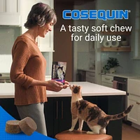 Cosequin - Soft Chews for Cats - Joint Health Supplement with Omega 3s for Overall Wellness