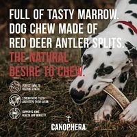 Canophera - Natural Red Deer Antler Split Dog Chew – Long-Lasting & Durable  – Supports Dental & Joint Health