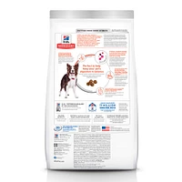 Science Diet - Adult Dry Dog Food Perfect Digestion & Lean Muscle Support – Salmon Recipe – Supports Gut Health