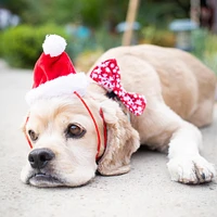 - Pet Santa Hat