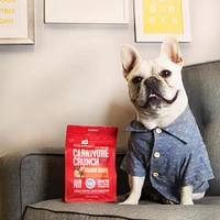 Stella & Chewy's - Dog Treats - Crunchy Beef