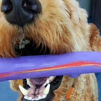 Ruff Dawg - Dog Toy - Bouncy,  Crunchy Durable Rubber for Fetch Play
