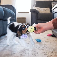 Coastal - Dog Toy - Li'l Pals Combo - Fiesta