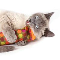 Hauspanther - Cat Toy - ModKicker Ocean