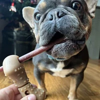 - Bully Stick Holder Chew Dog Toy - Adjustable Clamp & Bacon Scented for Long Lasting Chew Play