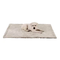 Best Friends - Pet Blanket