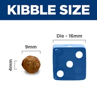 Science Diet - Light Adult Dry Dog Food Small Bites For Healthy Weight Management – Chicken Meal & Barley Recipe