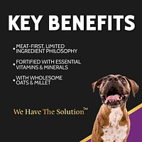 Dry Dog Food – Limited Ingredient Wholesome Grains