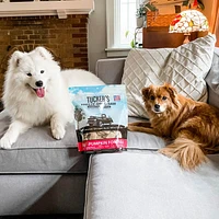Tucker's - Freeze Dried Dog Food - Beef & Pumpkin