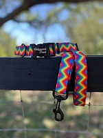 - Dog Leash - Rainbow