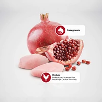 Farmina - Dry Kitten Food - Chicken & Pomegranate