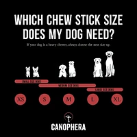 Natural Red Deer Antler Split Dog Chew – Long-Lasting & Durable – Supports Dental & Joint Health