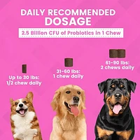 Nootie - Large Dog Chew - Digestive Support