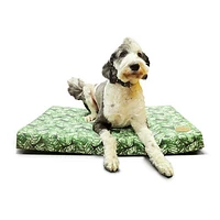 Orthopedic Dog Bed