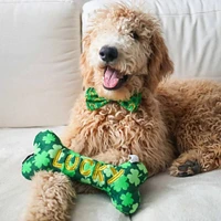 Huxley & Kent - Plush Dog Toy - Lucky Charm Bone