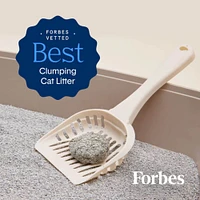 - Natural Bentonite Clumping Clay Cat Litter - Odor Control & Hard Flat Top® Clumps -  Unscented