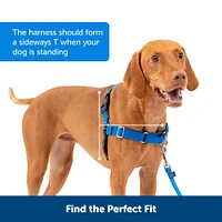 PetSafe - Easy Walk Harness - Black