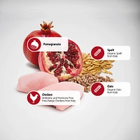 - Dry Dog Food - Chicken & Pomegranate Mini Adult