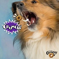 - Crunchy Os® Dog Treats - Low Calorie Crunchy Snack for Training & Fun - Smokin' CheesePlosions® Flavor