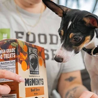 Wet Noses - Moments Limited Ingredient Crunchy Dog Treats - Made with Human Grade Ingredients - Beef Stew Recipe