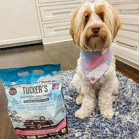 Tucker's - Frozen Dog Food - Salmon & Pumpkin