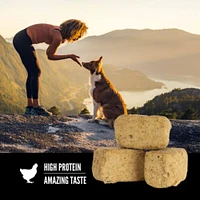 Orijen - Freeze Dried Dog Treat - High Protein Training Reward - Original Recipe