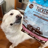 Tucker's - Frozen Dog Food - Salmon & Pumpkin
