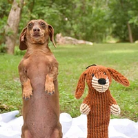 Patchwork - The Weens Plush Dog Toy – Soft & Long Lasting with Squeaker & Crinkle Ears – Meerkat Pro