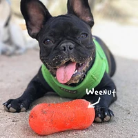 - Durable Retrieving Dog Toy - Tough & Textured for Chewing & Fetch - Peanut Crunch