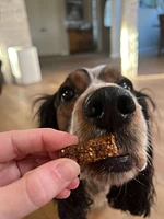 Dog Treat - Chicken & Carrot Sausages