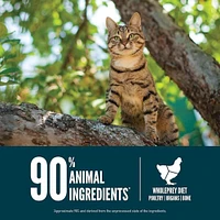 Orijen - High Protein Dry Cat Food - Grain Free with WholePrey Nutrition - Guardian 8