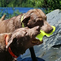 Ruff Dawg - Retrieving Dog Toy - Floating Rubber Fish for Water & Fetch Play - Flying Fish