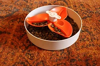 PetDreamHouse - Interactive Spinning Slow Feeder - Orange Spinner
