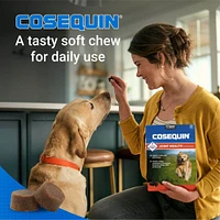 Cosequin - Soft Chews for Dogs - Joint Support Supplement with Glucosamine for Mobility & Comfort