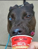 Boss Dog - Frozen Yogurt Treat - Cheddar & Bacon