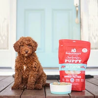 - Freeze Dried Puppy Food - Beef & Salmon Patties