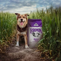 - Dry Dog Food - Adult