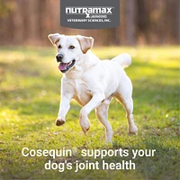 - Tablets for Dogs - Joint Health Supplement with Glucosamine for Mobility