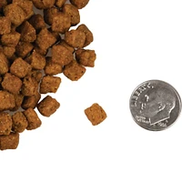 - Dry Cat Food - Beef Liváttini Veg® Recipe