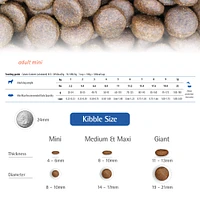 Dry Dog Food - Salmon, Spelt