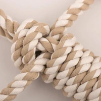 HuggleHounds - Dog Toy - Rope X-Brace - Redwood Raccoon