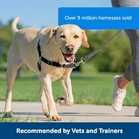 PetSafe - Easy Walk Harness - Black