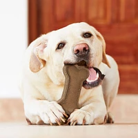 Spot - Dog Chew Toy