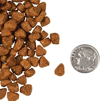 Fromm - Dry Cat Food - Chicken Au Frommage® Recipe