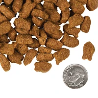Fromm - Dry Dog Food - Trout & Whitefish Recipe