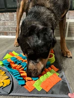 Messy Mutts - Puzzle Feeder