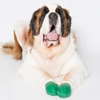 Pawz - Rubber Boots - XL Green