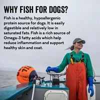 Polkadog - Single Ingredient Crunchy Dog & Cat Treat - Haddock Skins