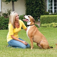 PetSafe - Stay & Play® Wireless Dog Fence - No Wire Setup,  Adjustable Boundary Up to 3/4 Acre,  Waterproof & Rechargeable Collar